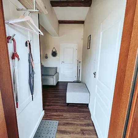 Pod Brzozami -tomaszkowo Tomaszkowo