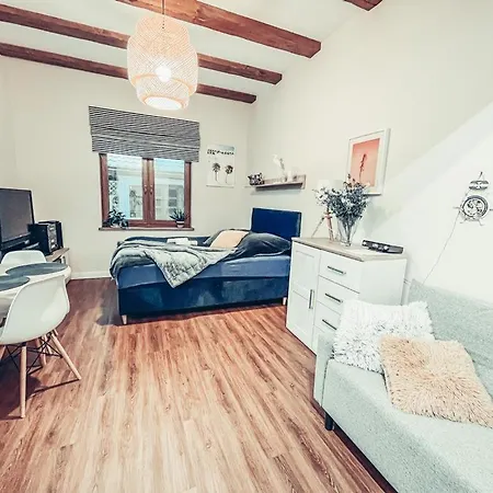 Apartament Pod Brzozami -tomaszkowo Tomaszkowo
