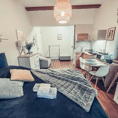 Pod Brzozami -tomaszkowo Apartament