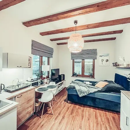 Pod Brzozami -tomaszkowo Apartament