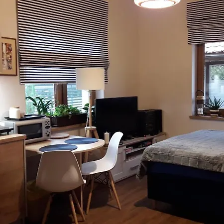 Apartament Pod Brzozami -tomaszkowo